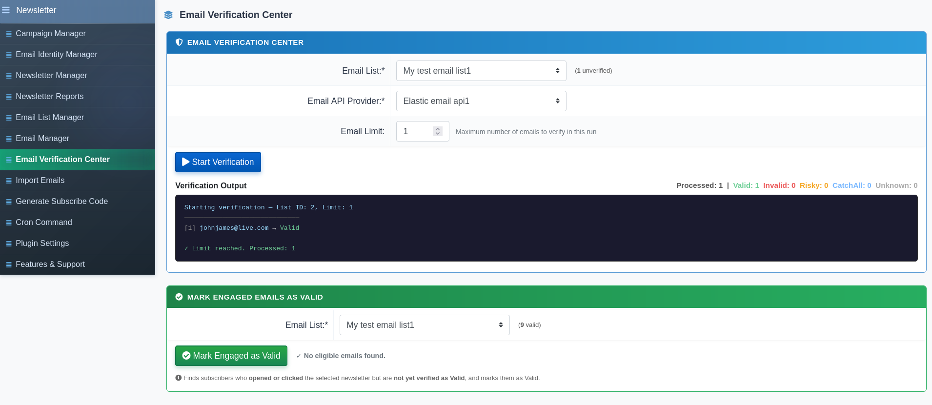 Newsletter Plugin Email Verification Center with live console output showing verification progress